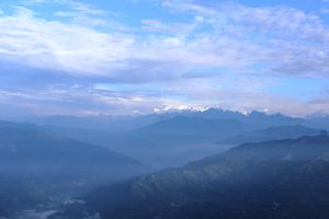 IMG_2300