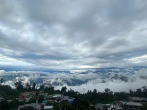 anjalihomestaySillery (2)
